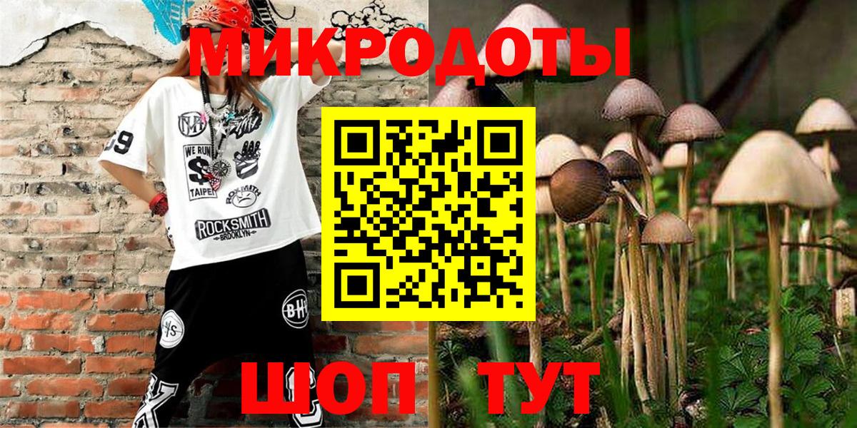 Галлюциногенные грибы MAGIC MUSHROOMS Камышлов